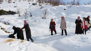 AK Partili kadınlar yaban hayvanları için yem bıraktı
