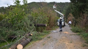 Fırtına elektrik telleri koparıp ağaçları devirdi
