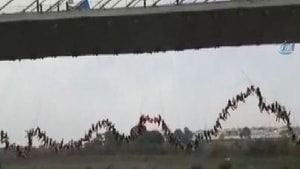 Brezilya’da 245 kişi aynı anda köprüden atladı