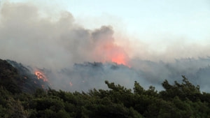 Çalıştığı ormanı yaktı iddiası 
