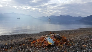 Denize atılan çöpler toplandı