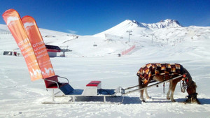 Erciyes’de atlı kızak keyfi