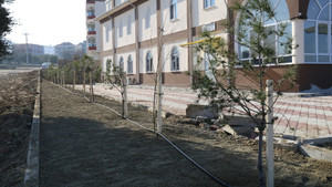 Hz. Ebu Bekir Camii’nin çevresi fidanlarla donatıldı
