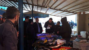 Hileli balık satışına zabıta engeli
