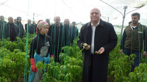 Bayraktar: 