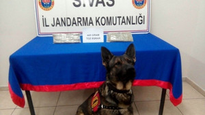 Sivas’ta uyuşturucu operasyonu
