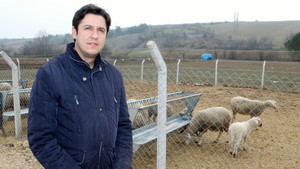 Kuzuları anne sütü hayatta tutuyor

