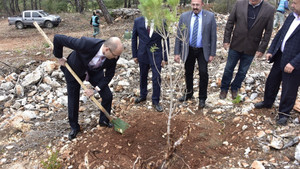 İlk fidanı hüküm verdikleri Mahkumlar dikti