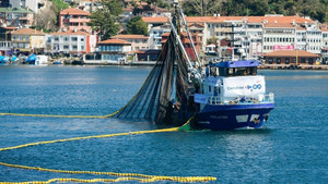 CarrefourSA balıkta cirosunu 4 katına çıkarmayı hedefliyor
