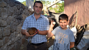 Yeşil yumurta yumurtlayan tavuk şaşırttı