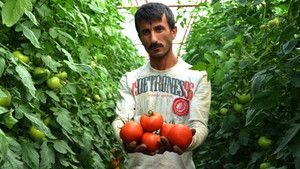  Karatay’ın domates açıklamasına tepki