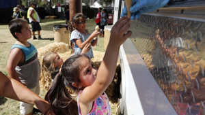 ABD’de Sarımsak Festivali başladı
