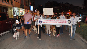 Hayvanseverler tekme atılan köpek için yürüdü