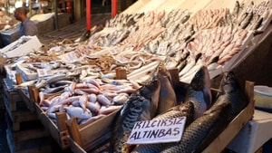 Yasak kalktı, en pahalı balığın kilosu bile 15 liraya düştü
