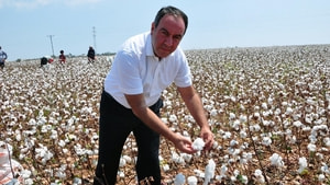Tümer: “Pamuk ekim alanları 8 yılda yüzde 44.76 azaldı”
