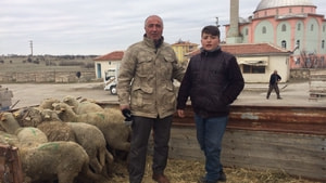 Günyüzülü genç çiftçilere koyunları teslim edildi

