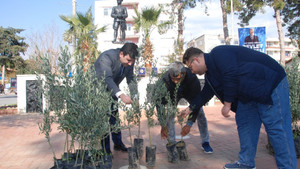 Zeytin Dalı Harekatı’na 10 bin zeytin fidanıyla destek