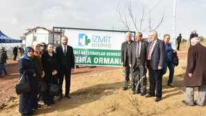 Mehmetçik için zeytin fidanı diktiler