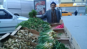 Hakkari’de pancar mevsimi başladı
