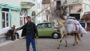 Akaryakıt zamlarından sonra at ve eşekler yeniden kıymete bindi
