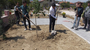 Sav’da fidan dikim etkinliği
