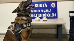 Narkotik köpeği Oscar, otobüste uyuşturucu madde buldu
