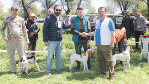 Av köpekleri Tavşanlı’da yarıştı
