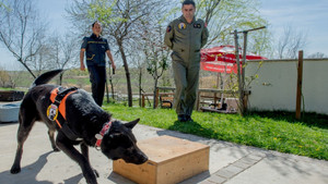 Başkent K-9 köpeklerine emanet
