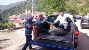 Cami imamından örnek davranış
