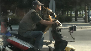 Trafikte eğlenceli yolculuk
