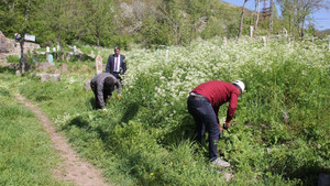 Bitlis Belediyesinden bahar temizliği
