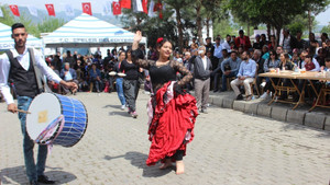 Aydın’da 8 nisan Romanlar günü coşkusu
