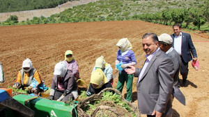 Baştuğ’dan Çiftçiler günü mesajı
