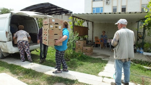 Burhaniye Türkiye’nin stevia üretim merkezi oldu
