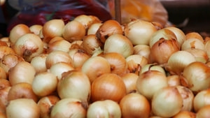Adana’da soğan ve patatesin ekim alanı azaldı, fiyatlar tavan yaptı
