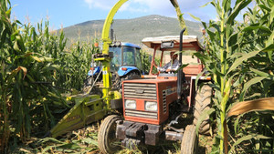 Başkan Atıcı, silaj yapma fiyatlarını açıkladı
