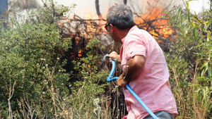 Bodrum’da korkutan yangın