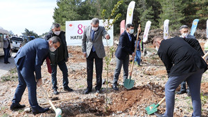 Muğla’da Mercan Hatıra Orman