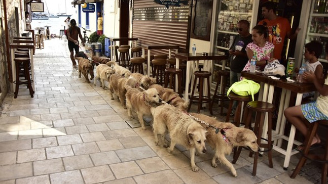 GOLDEN ÇETESİ SAHİPSİZ KALDI