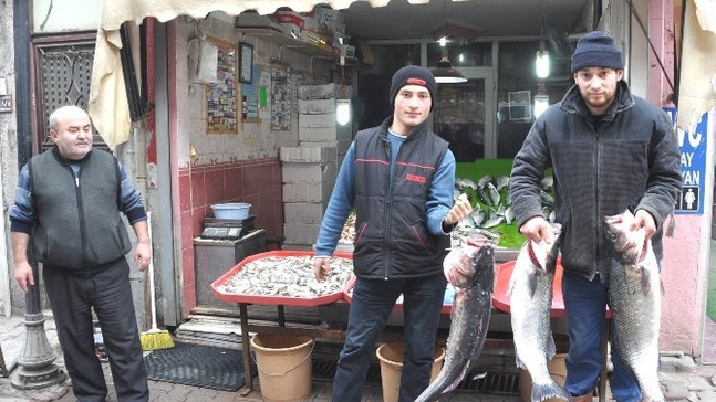 15 kiloluk levrek görenleri şaşırtıyor
