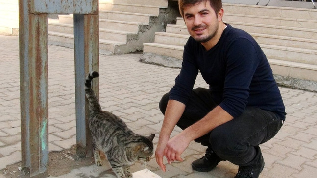 Lokantanın maskotu olan kedi, tavuklar için nöbet tutuyor
