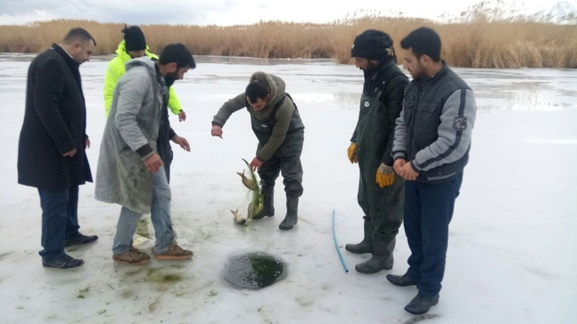 ‘Eskimo’ usulü balık avı