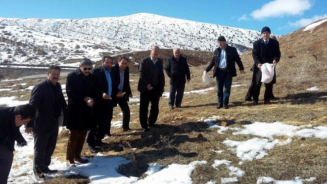 Sivas’ta doğaya yaban hayvanları için yem bırakıldı
