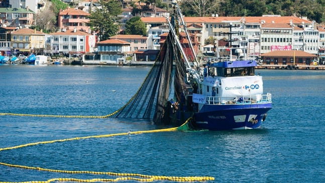 CarrefourSA balıkta cirosunu 4 katına çıkarmayı hedefliyor
