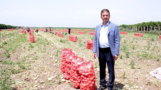 Rusya’nın alım yasağını kaldırdığı soğanda ilk hasat