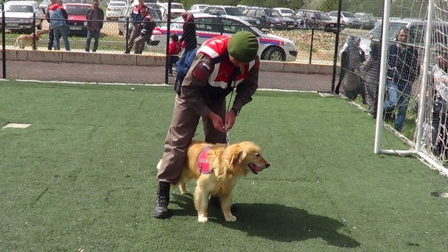 Çocukların jandarmanın arama kurtarma narkotik köpeklerine ilgisi
