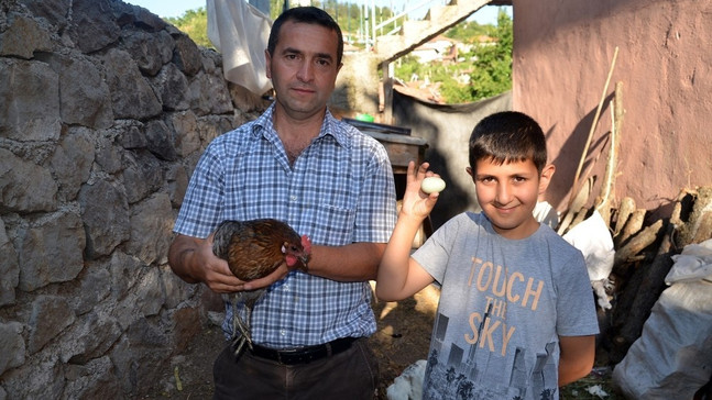 Yeşil yumurta yumurtlayan tavuk şaşırttı