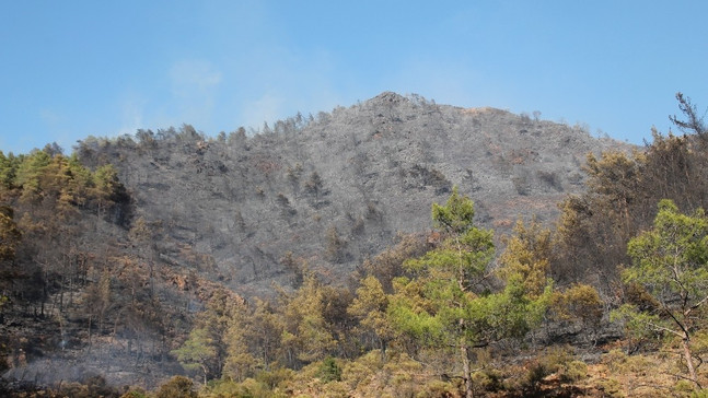 Marmaris’te 10 hektar kül oldu