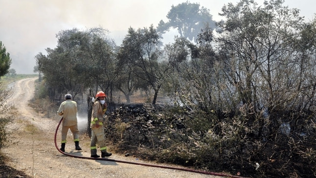 İzmir’deki orman yangını 4. gününde