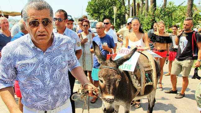 Ünlü türkücü Bodrum sokaklarında eşek gezdirdi, hayvan severler çıldırdı
